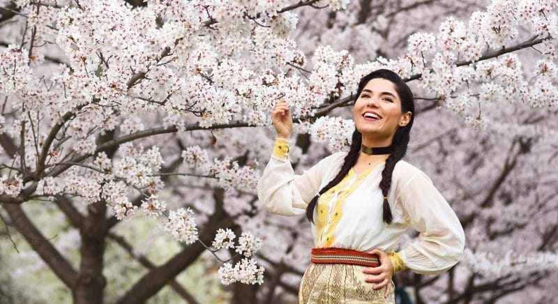 fotograf profesionist, gradina japoneza, ciresi infloriti, primavara