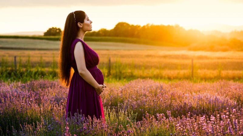 sedinta foto gravide, sedinta foto lavanda, sedinta foto portret, sedinta foto maternity