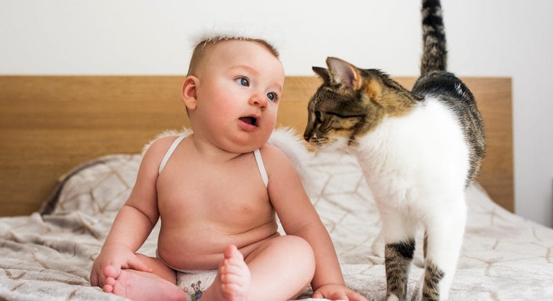 fotograf profesionist, fotograf bucuresti, fotograf copii, fotografie botez