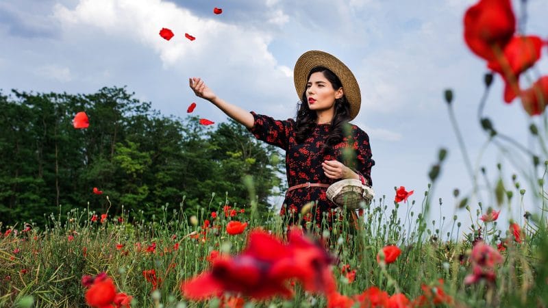 sedinta foto gravide, sedinta foto maci, sedinta foto portret, sedinta foto maternity